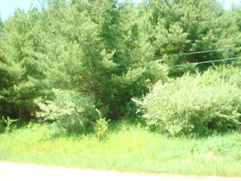 30 Acres, Owner Financing Available : Ivanhoe : Wythe County : Virginia