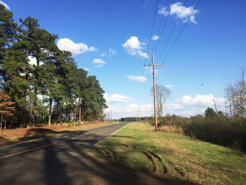 Potato Creek Tract : Summerton : Clarendon County : South Carolina