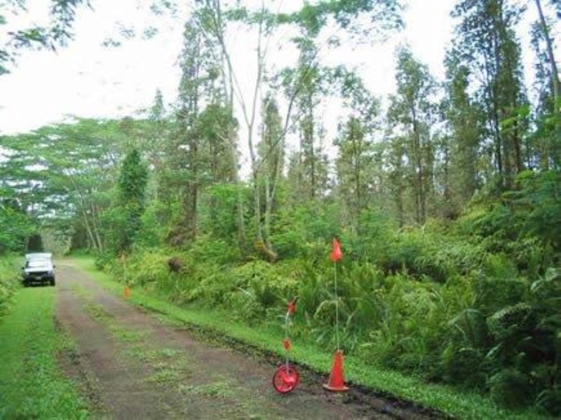 1/4 Acre Nanawale Estates : Pahoa : Hawaii County : Hawaii