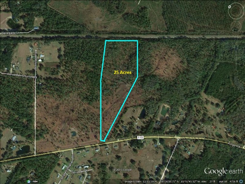 25 Acres, Big Pine Ridge Land for Sale in Callahan, Nassau County