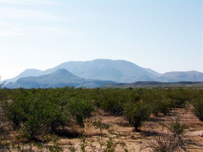 80 Acres Owner Financing : Terlingua : Brewster County : Texas