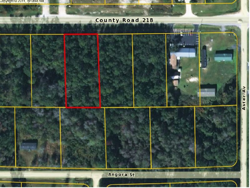 1.036 Commercial Acres, Middleburg : Middleburg : Clay County : Florida