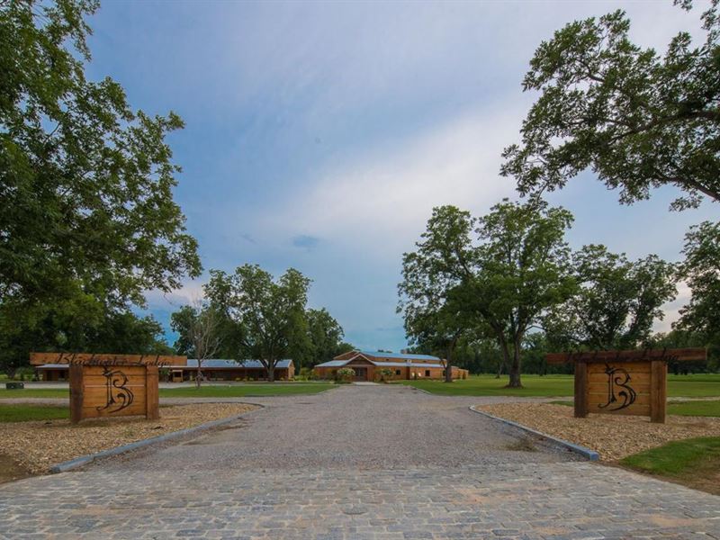 206 Spectacular Acres with 120 Acre : Pinewood : Clarendon County : South Carolina