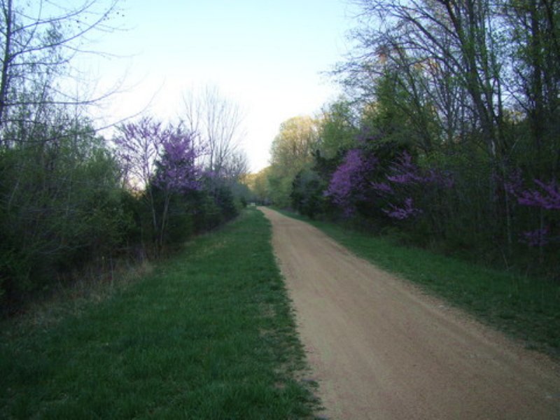 .21 Acre Roge Creek Valley : Potosi : Washington County : Missouri