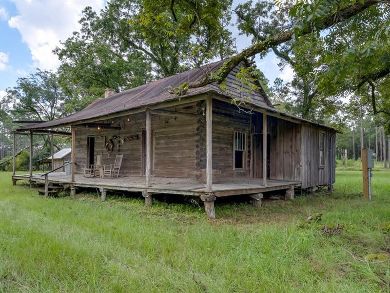 Bocat Farms : Vernon : Washington County : Florida