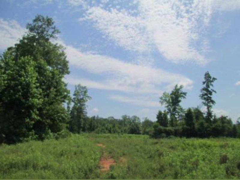 94 Acres, Charles Johnson Road : Culloden : Monroe County : Georgia