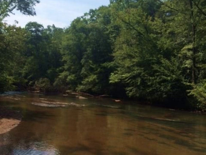 300+/- Acres Saugahatchee Creek : Dadeville : Tallapoosa County : Alabama