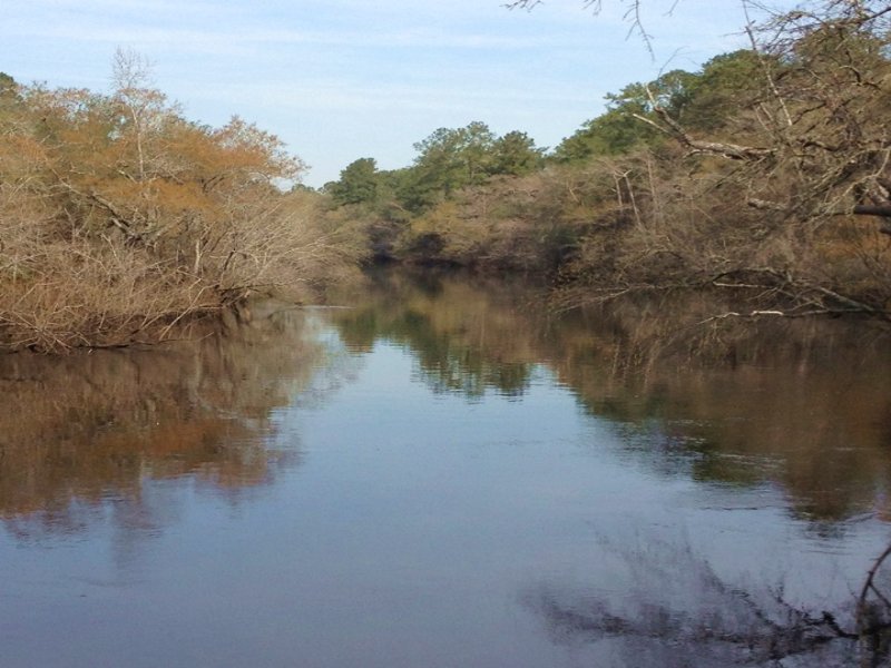 Ohoopee River Property, Land for Sale in 94732 LANDFLIP