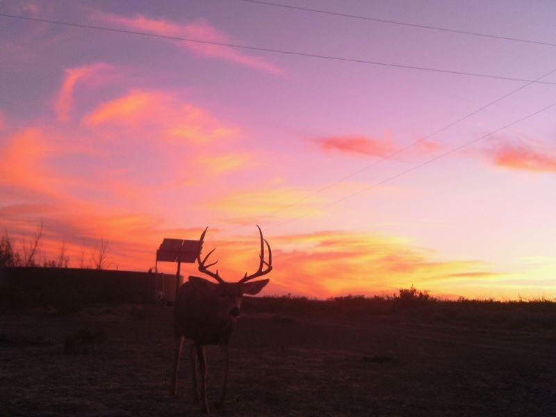 East Rim Ranch : Alpine : Brewster County : Texas