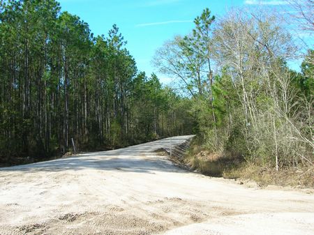 442.85 Acres-$2550/Ac, Planted Pine : Starke : Bradford County : Florida