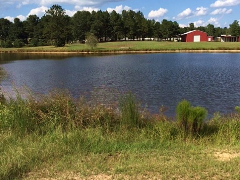 45 Acres Land for Sale in State Line, Greene County, Mississippi