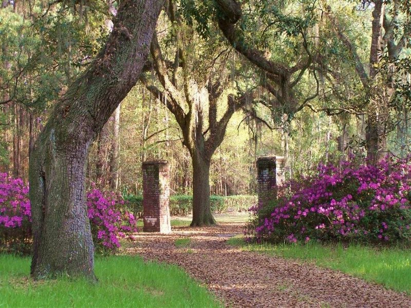 Pleasant Hill Plantation : Garnett : Hampton County : South Carolina