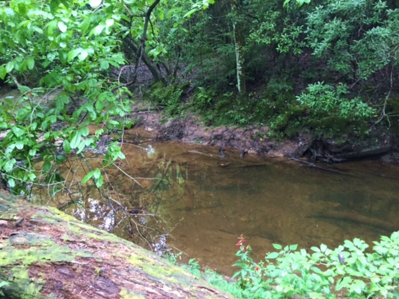 10+/- Acres Unrestricted / Creek : Sequatchie : Marion County : Tennessee