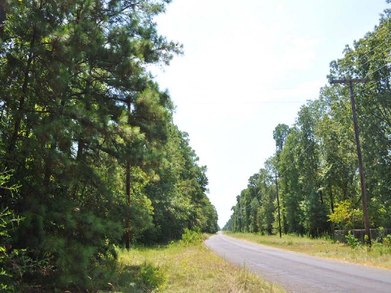 203 Acres Mangum Road : Livingston : Polk County : Texas