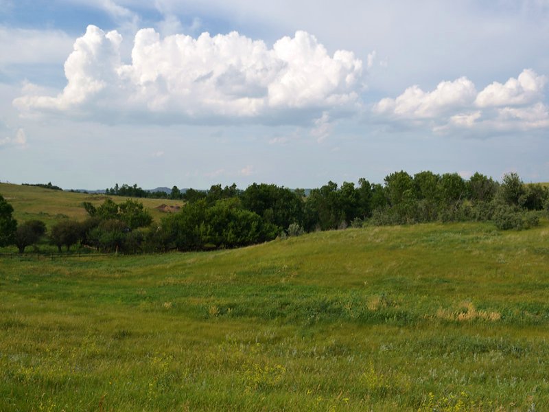 Whitetail Creek Ranch : Fairfield : Billings County : North Dakota