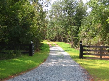 Massey Hill Farm : Gordon : Wilkinson County : Georgia