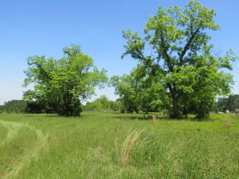 Funston Highway Property : Moultrie : Colquitt County : Georgia