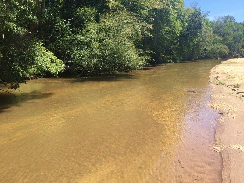 Mulberry Creek Tract : Selma : Dallas County : Alabama