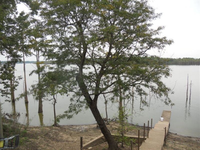 Reduced. Lake Mary Lakefront Camp F Land for Sale in Woodville
