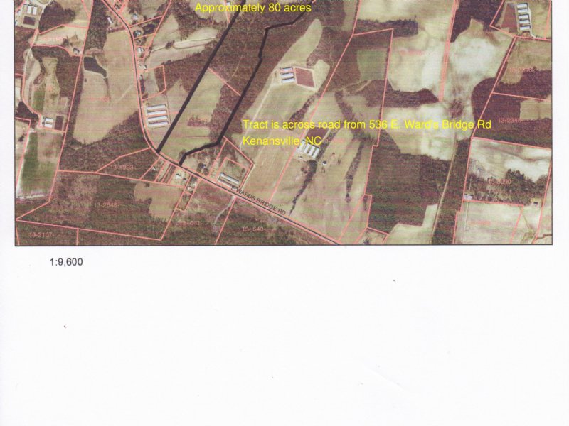 Nice Farm : Kenansville : Duplin County : North Carolina