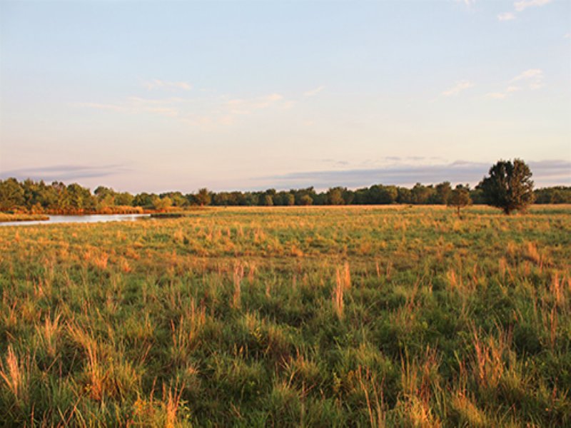Land Auction, 440+/- Acres in 15 Tr : Tulsa : Tulsa County : Oklahoma