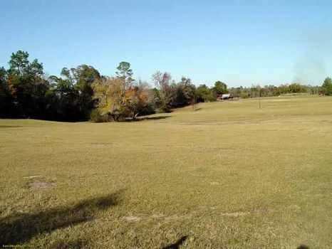 8 +/- Acres Country Pasture Land : Dublin : Laurens County : Georgia