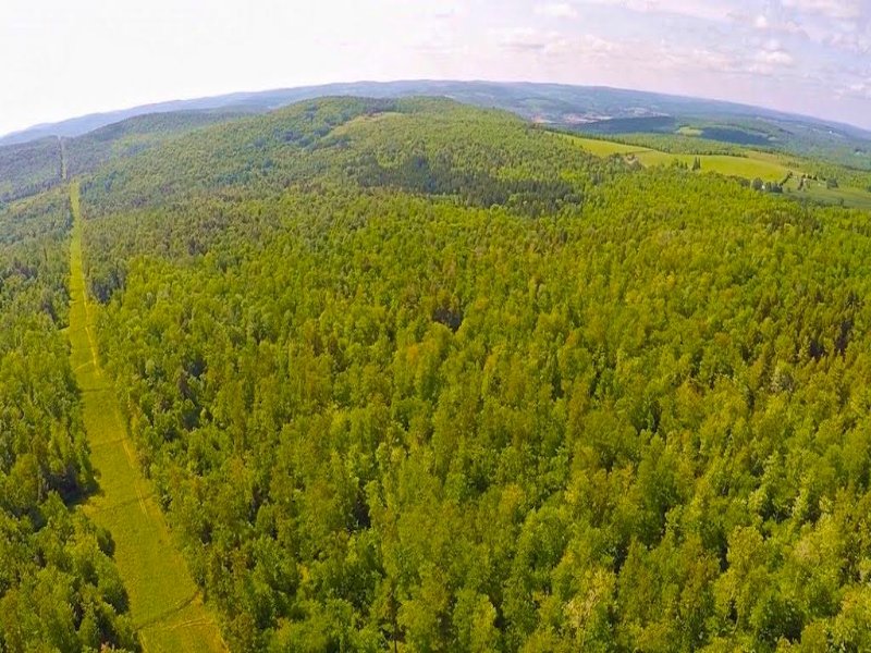 Timberland Hunting Land 1028 Acres : Windsor : Broome County : New York
