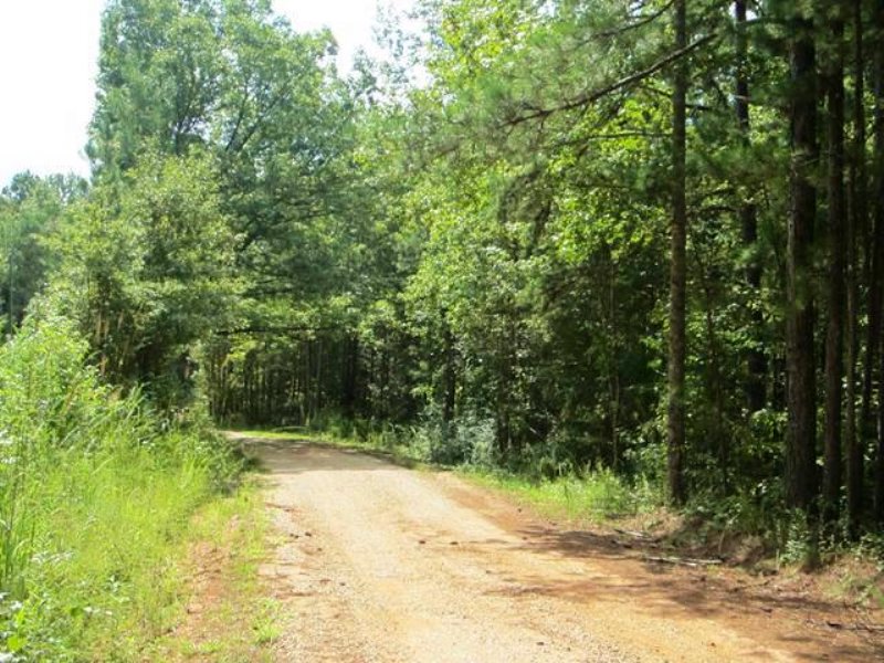 Several Land Parcels in Ashland : Ashland : Clay County : Alabama