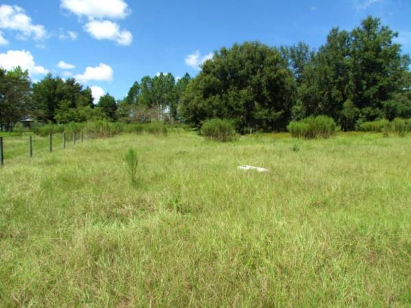 Charming 5 Acres in Brooksville : Brooksville : Hernando County : Florida