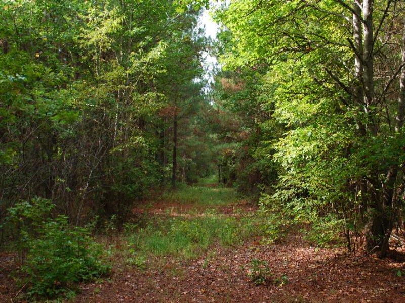 52ac Recreational Tract Jonesville : Jonesville : Union County : South Carolina