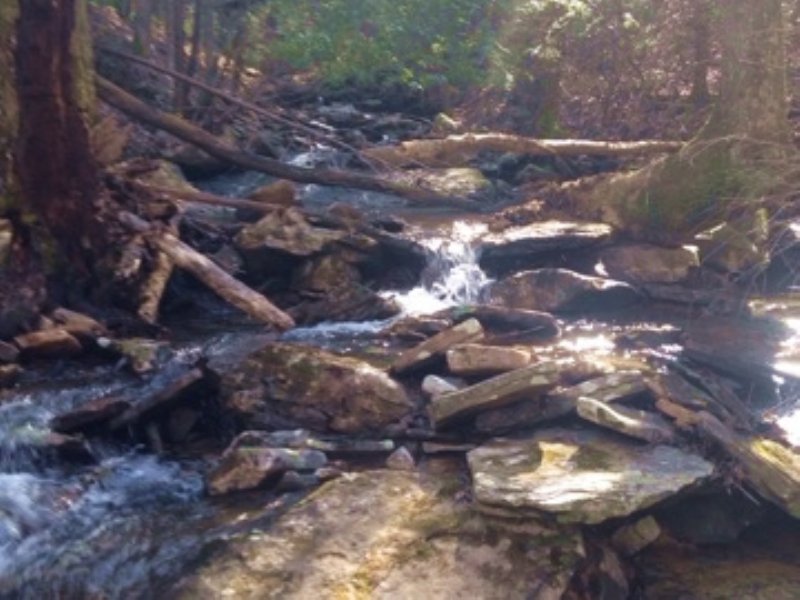 46+/-acres W/amazing View/ Creek : Dunlap : Sequatchie County : Tennessee