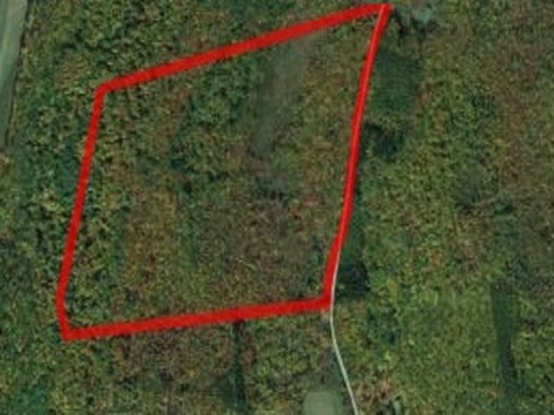 Perfect for The Sportsman : Maryland : Otsego County : New York