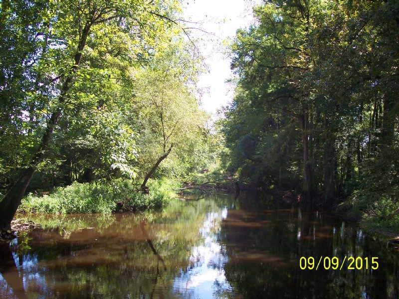 Edisto River Tract : Canadys : Colleton County : South Carolina