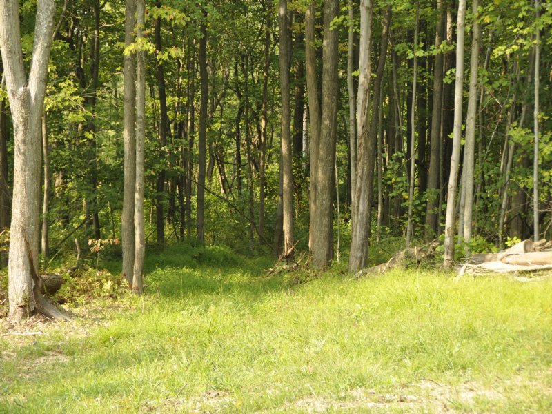 Absolute Recreational Auction : Danville : Knox County : Ohio