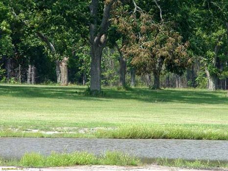 24 Ac Farm/Home/Pasture/Pecan Grove : Alamo : Wheeler County : Georgia