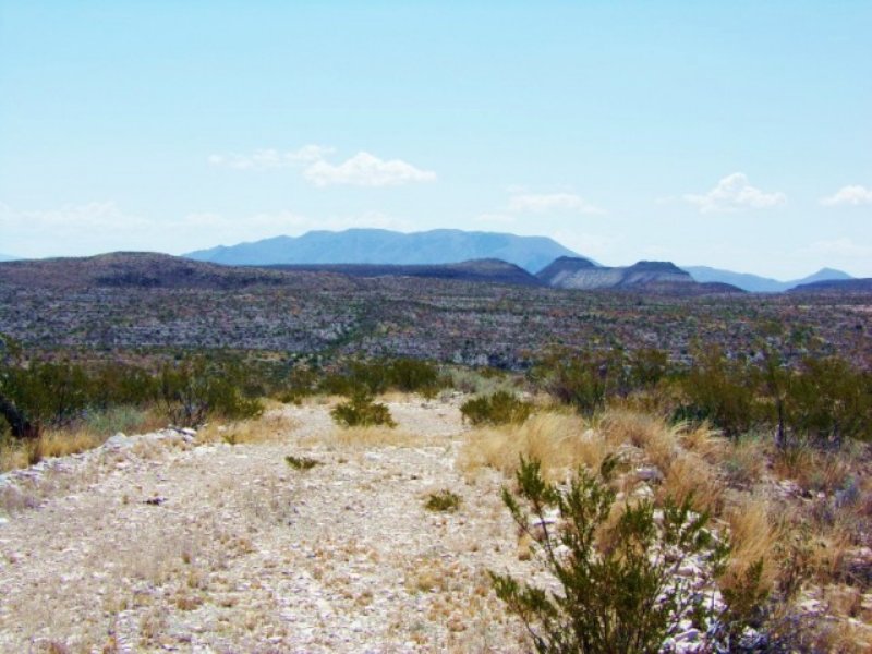 Tract 6238 : Terlingua : Brewster County : Texas