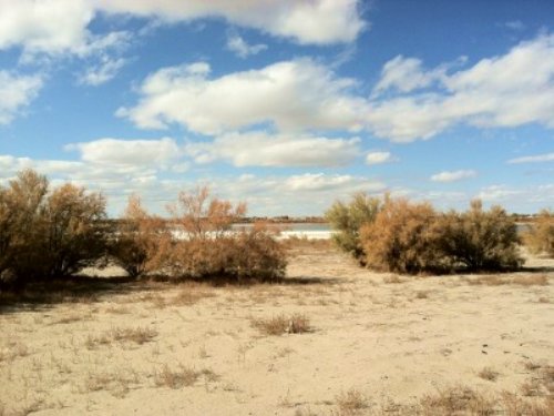 Cheraw Lake Waterfowl Hunting : La Junta : Otero County : Colorado