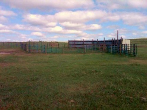 East Pines Ranch : Simla : Elbert County : Colorado