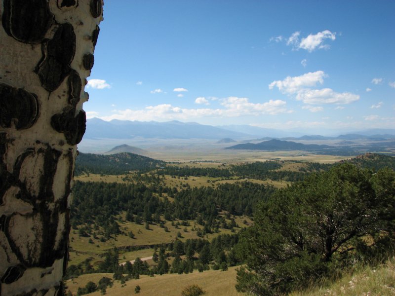 Nellie O'brien & The Lost Sweet : Westcliffe : Custer County : Colorado