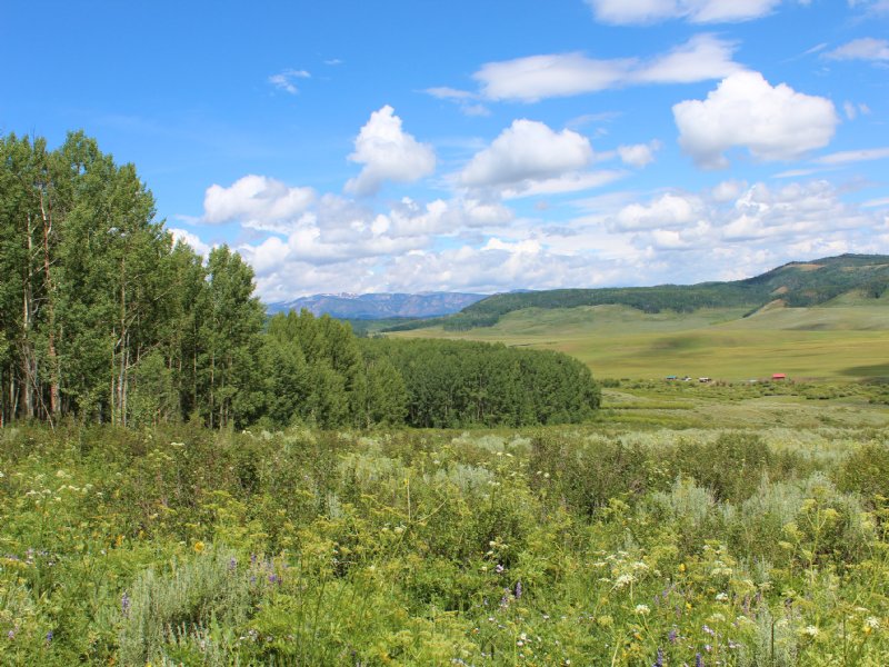 Rabbit Ear Retreat : Coalmont : Jackson County : Colorado