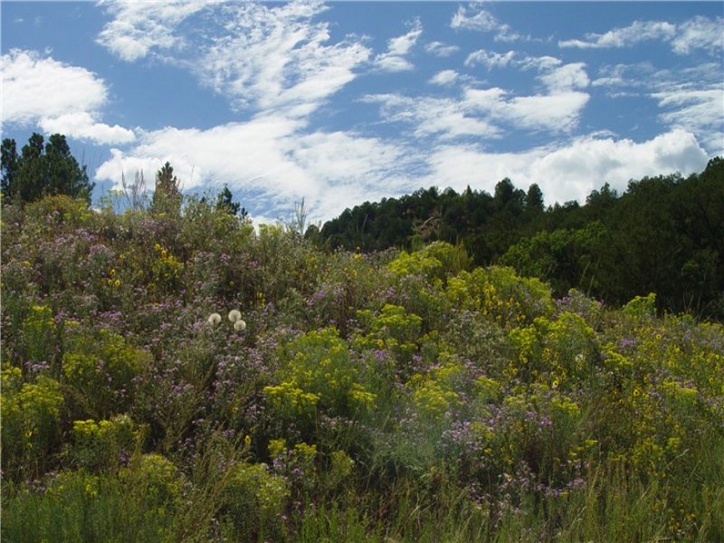 Top Of The World Views : Cañon City : Fremont County : Colorado