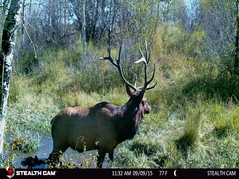 Two Mountains Ranch : Craig : Moffat County : Colorado