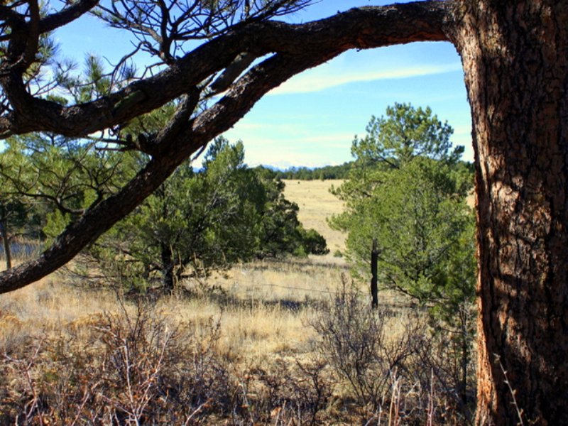 Bring Your Horses : Cañon City : Fremont County : Colorado