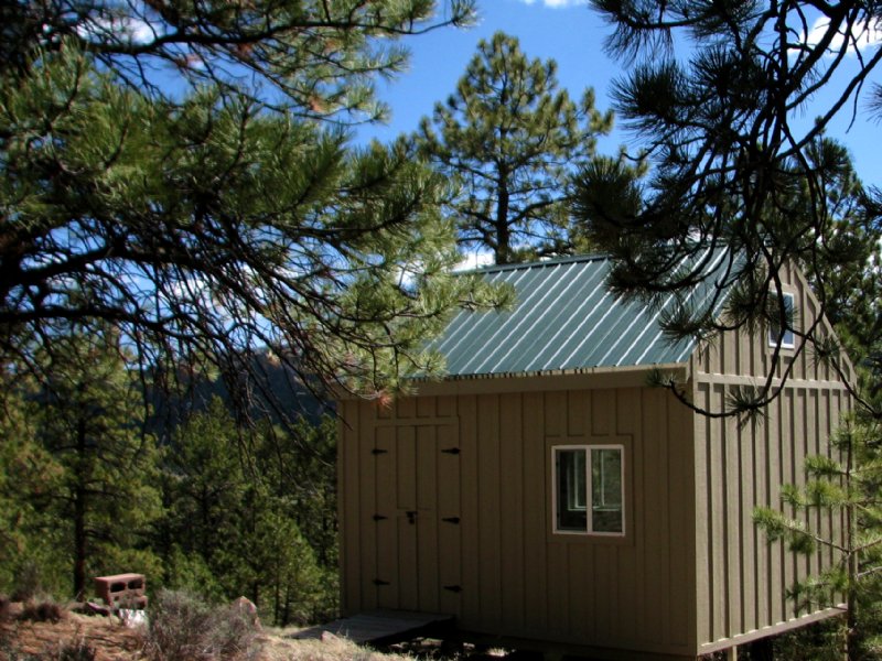 Tiny Cabin On Treed Acreage : Westcliffe : Custer County : Colorado