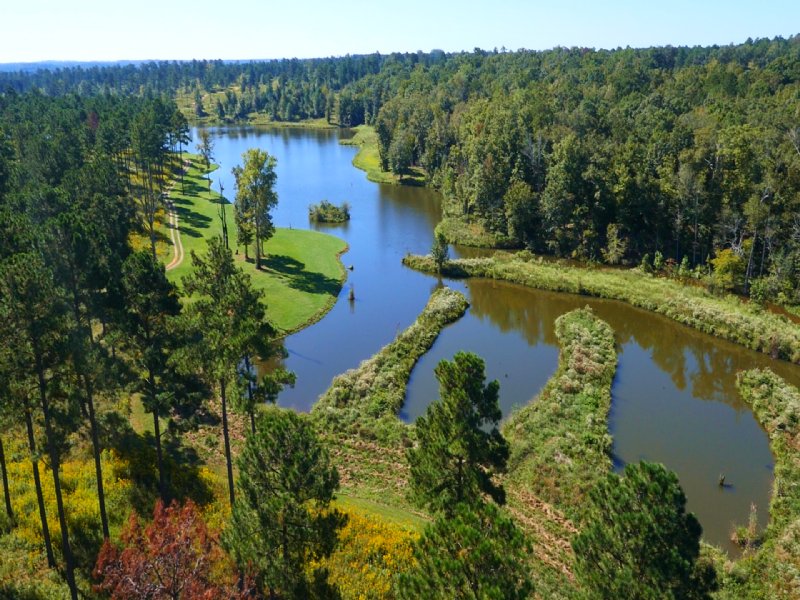 Kawikee Plantation : Richland : Stewart County : Georgia