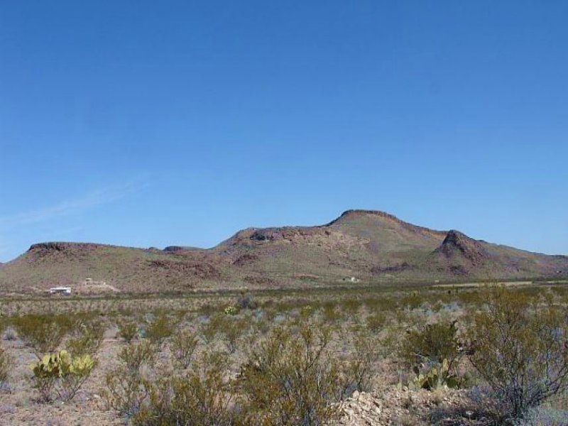 20 Acres Terlingua Ranch : Terlingua : Brewster County : Texas