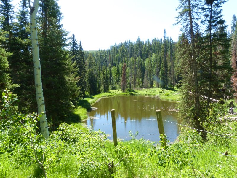 Elk Horn Lodge : Meeker : Rio Blanco County : Colorado