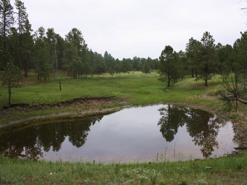 Ranch 51 : Colorado Springs : El Paso County : Colorado