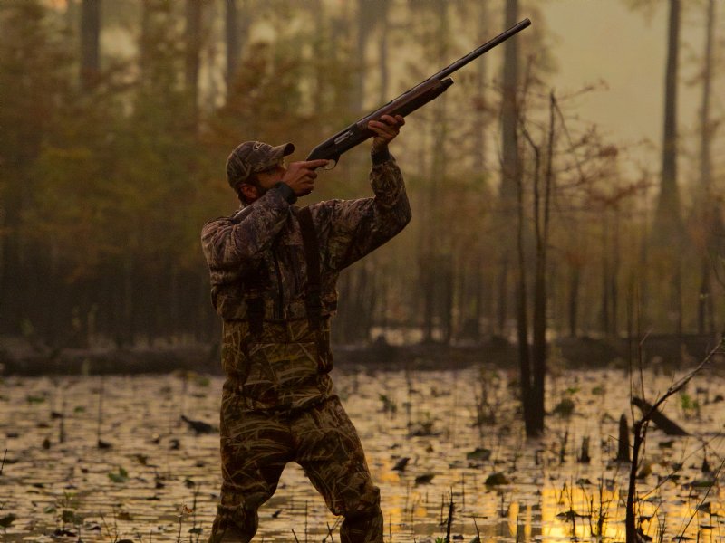 Heards Pond : Thomasville : Thomas County : Georgia