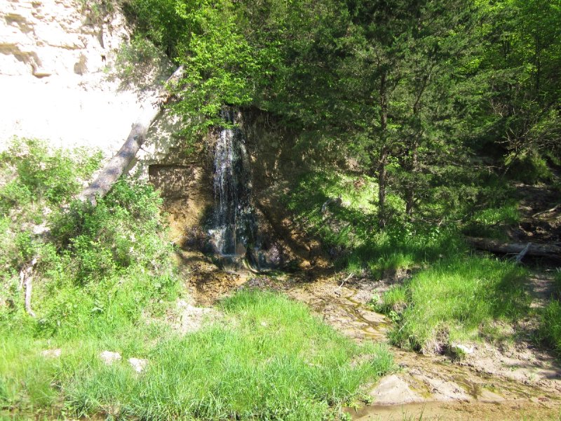 Reduced! Keya Paha County Wildlife : Springview : Keya Paha County : Nebraska